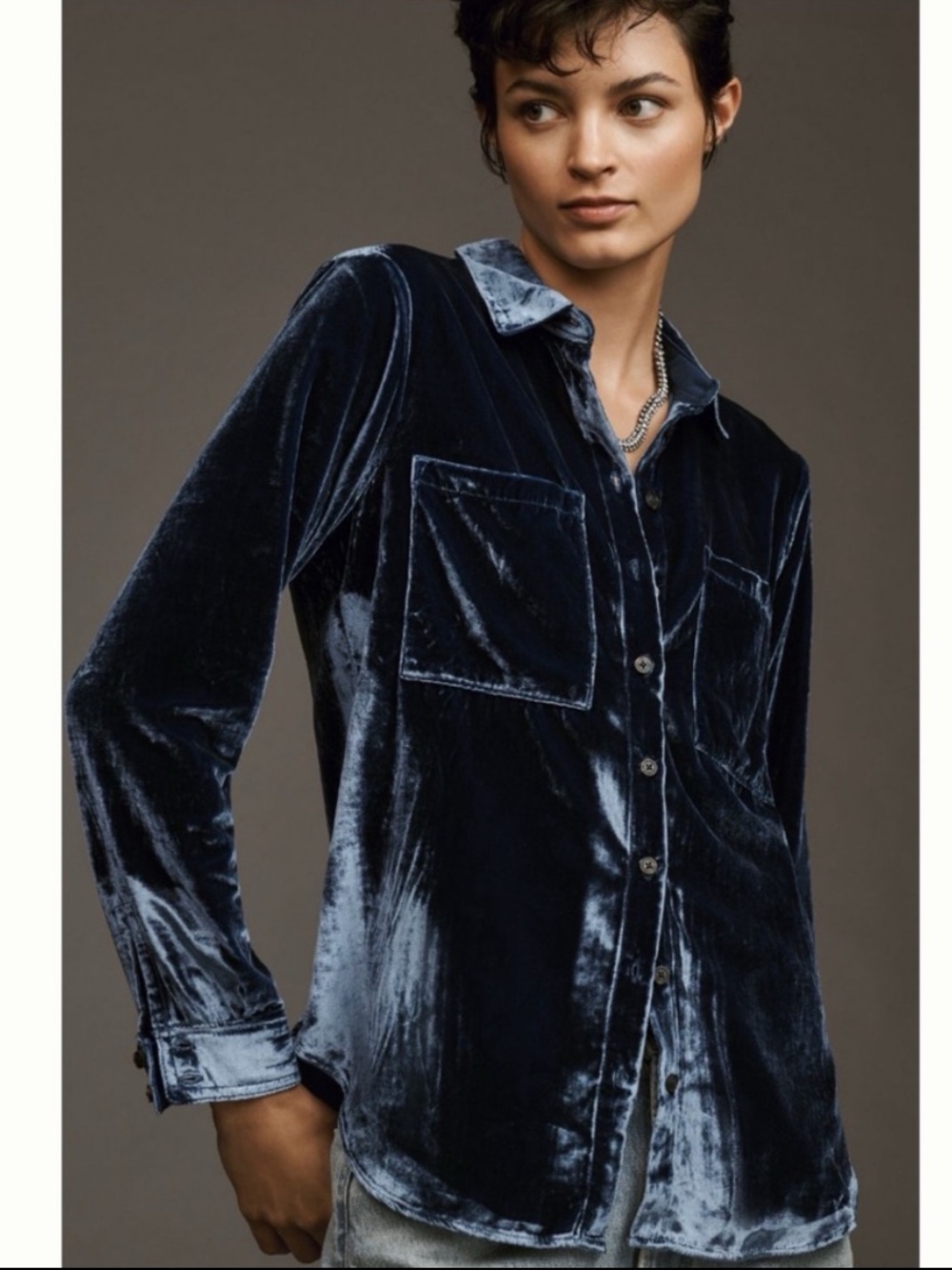 NWT Anthropologie Pilcro The Hadley Oversized Buttondown Shirt:Velvet Edition XS